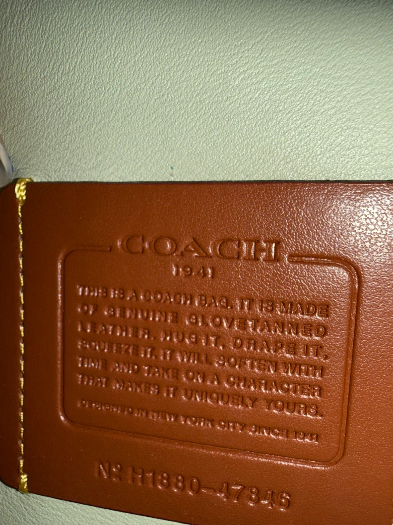 Teal Coach Saddle Bag - photo 4