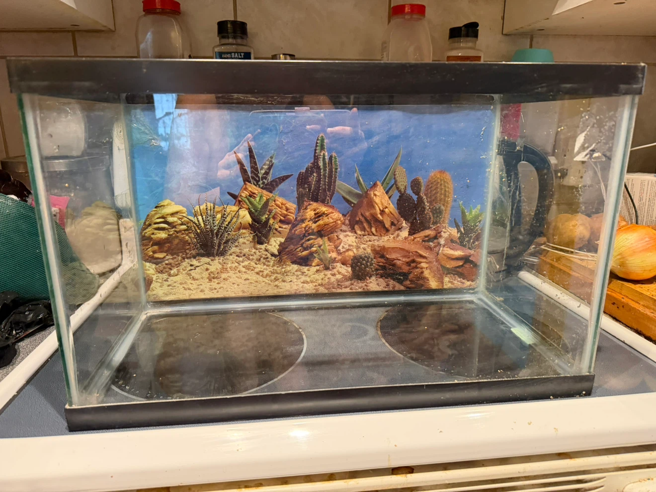 Critter cage with accessories