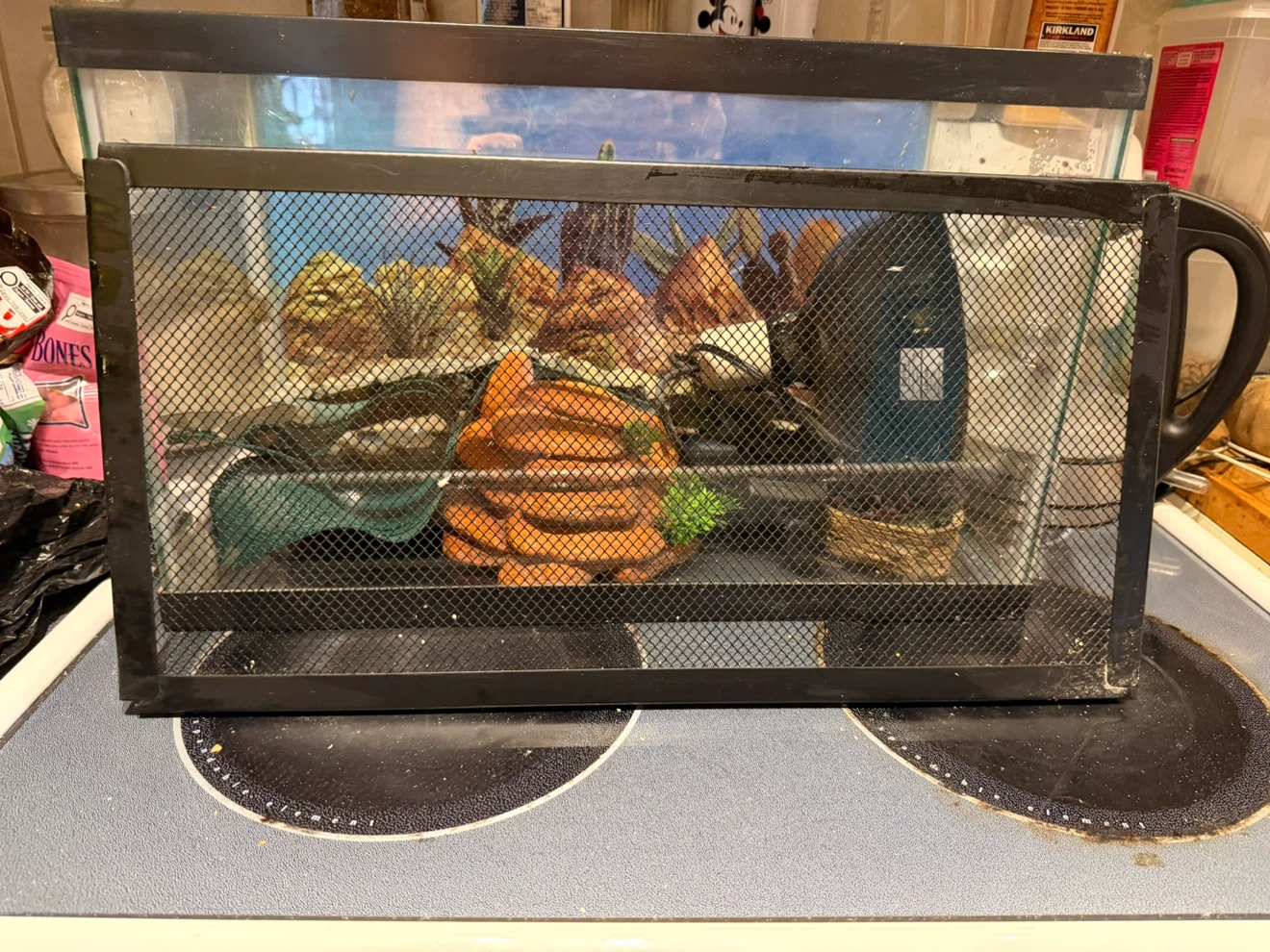 Critter cage with accessories - photo 2
