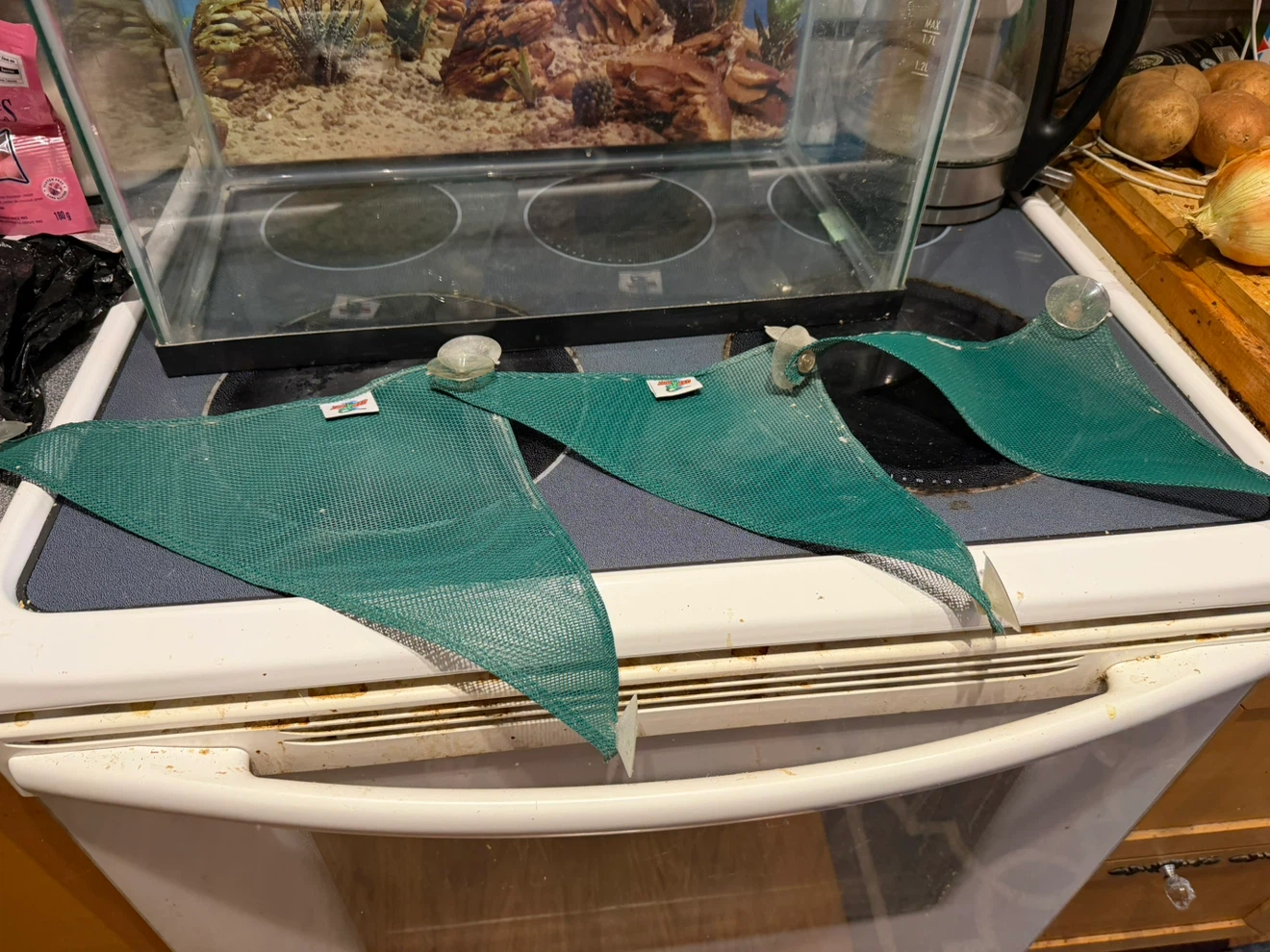 Critter cage with accessories - photo 3