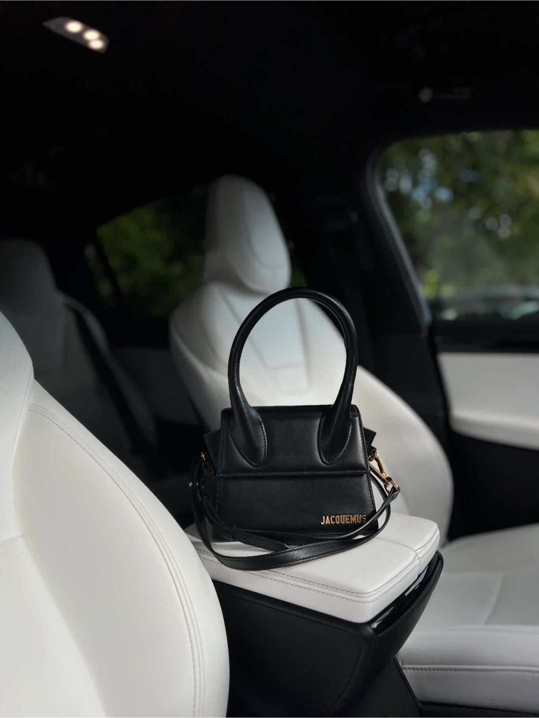 Authentic Jacquemus Le Chiquito Bag
