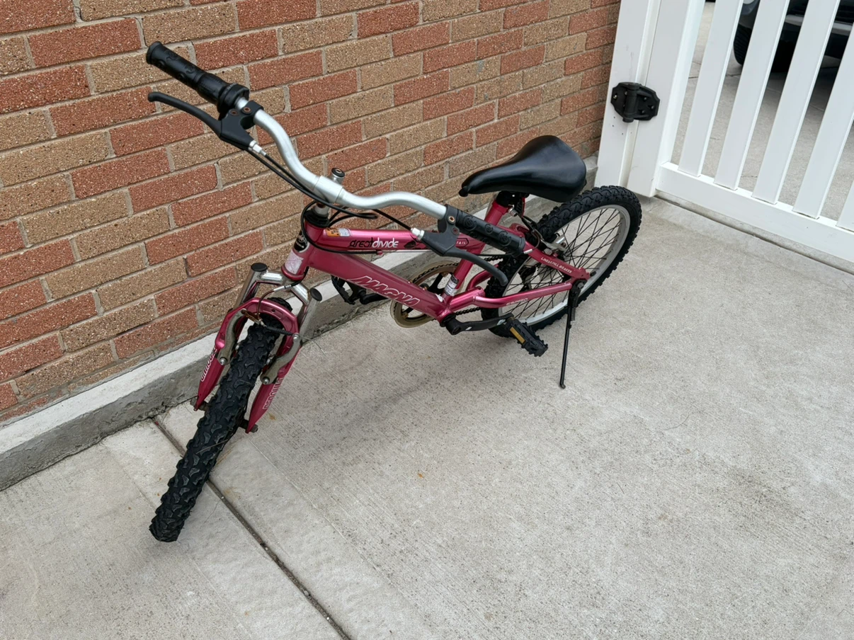 Magna Girls Pink BMX Bike - photo 2