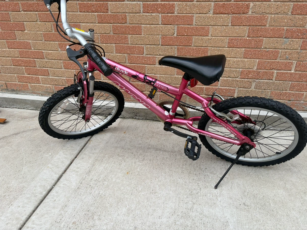 Magna Girls Pink BMX Bike - photo 4