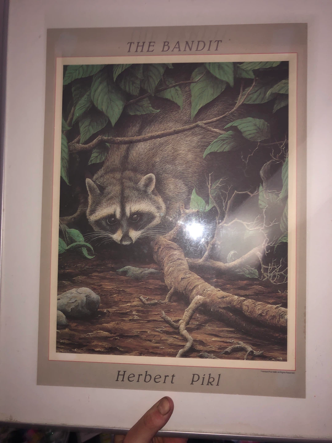 Framed Print "The Bandit" by Herbert Pikl