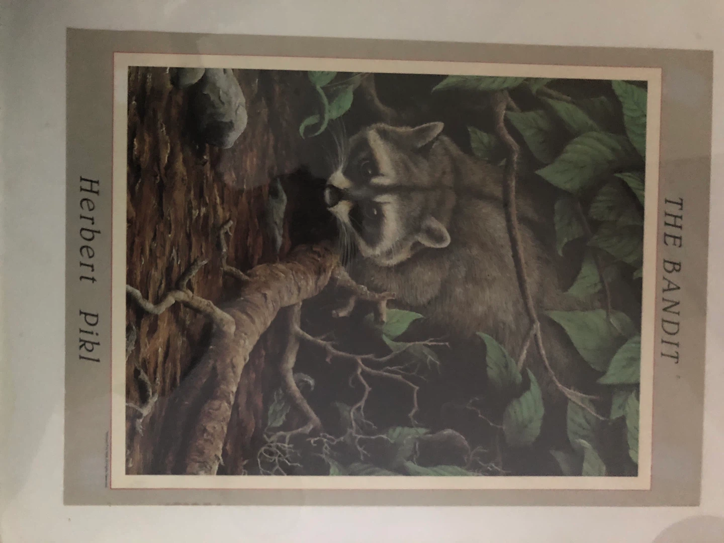 Framed Print "The Bandit" by Herbert Pikl - photo 2