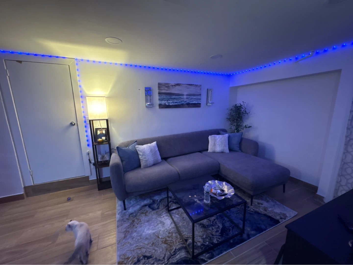 Living room rug