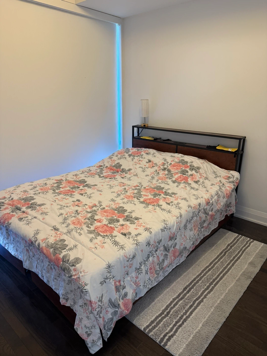 Bed frame and mattress: Queen Size