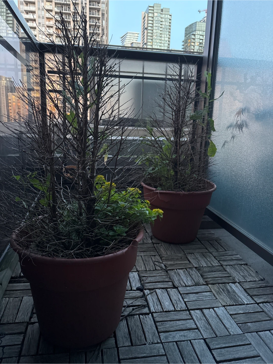 Plastic Terracotta Plant Pots with Plants