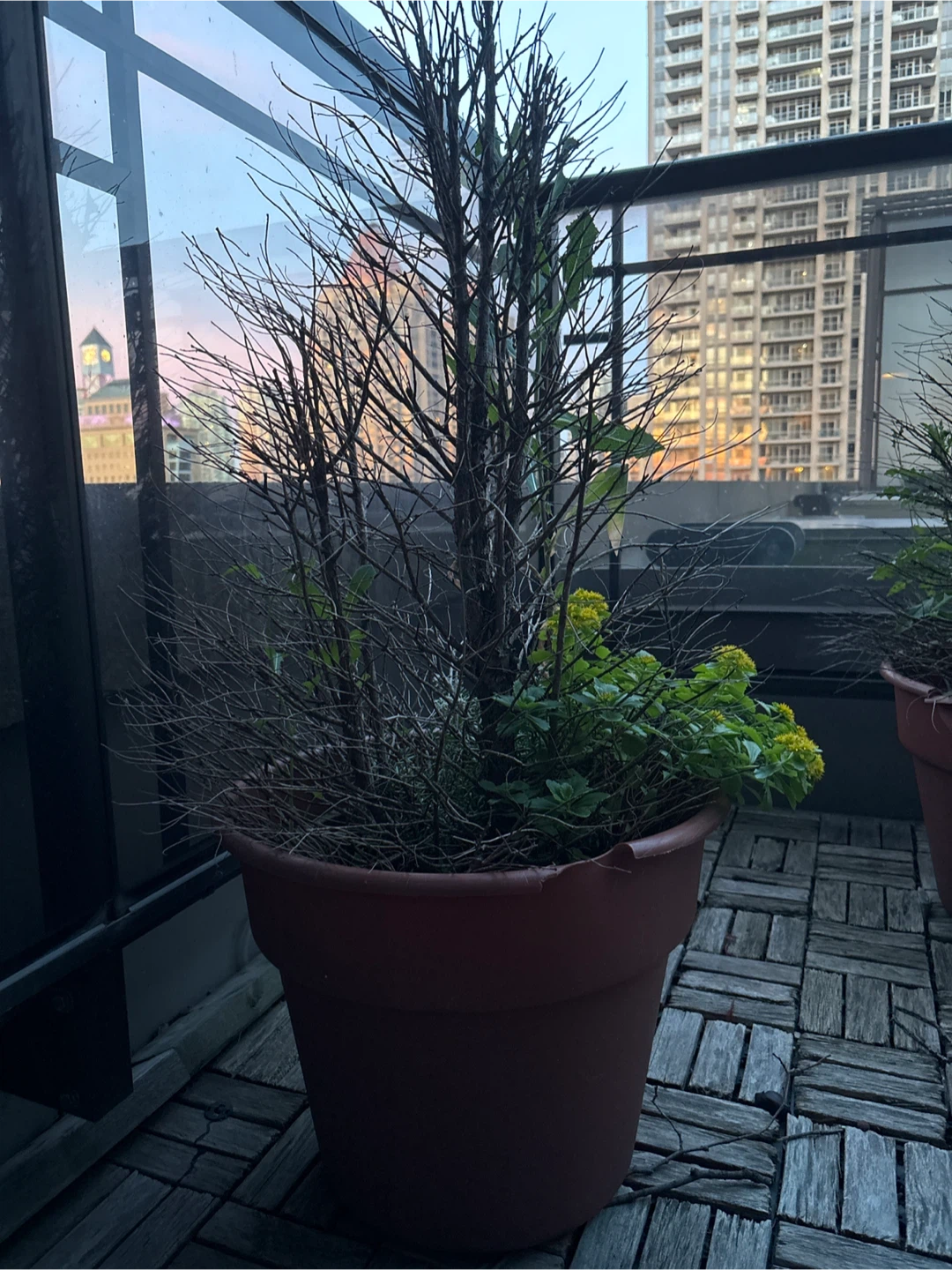 Plastic Terracotta Plant Pots with Plants - photo 2