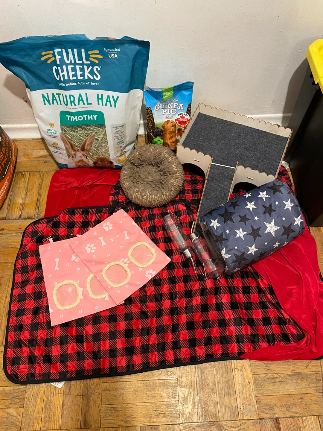 Guinea Pig Supplies Lot