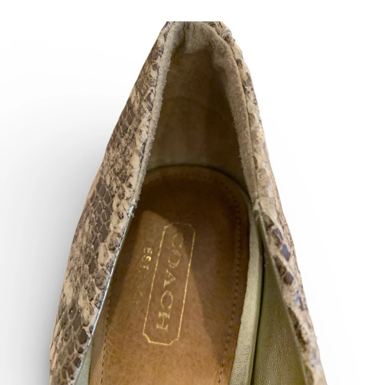 Coach Snakeskin Print Bow Heels