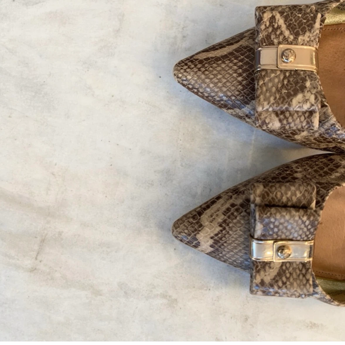 Coach Snakeskin Print Bow Heels - photo 4