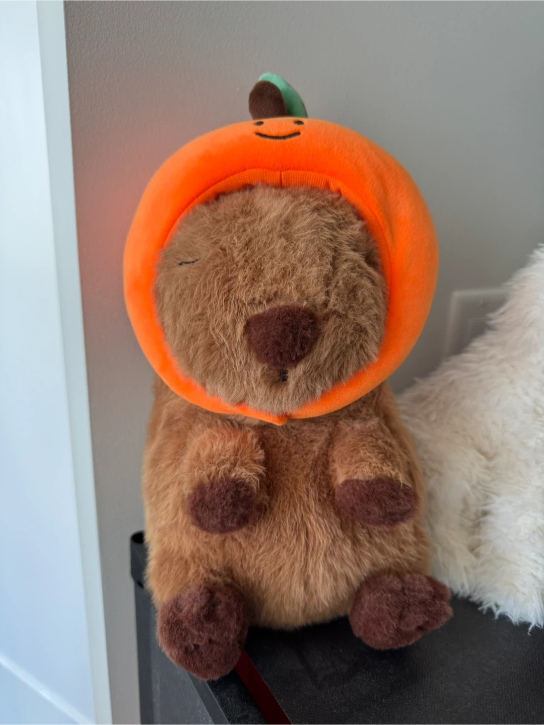 Moving sales- must go new capybara stuffed toy