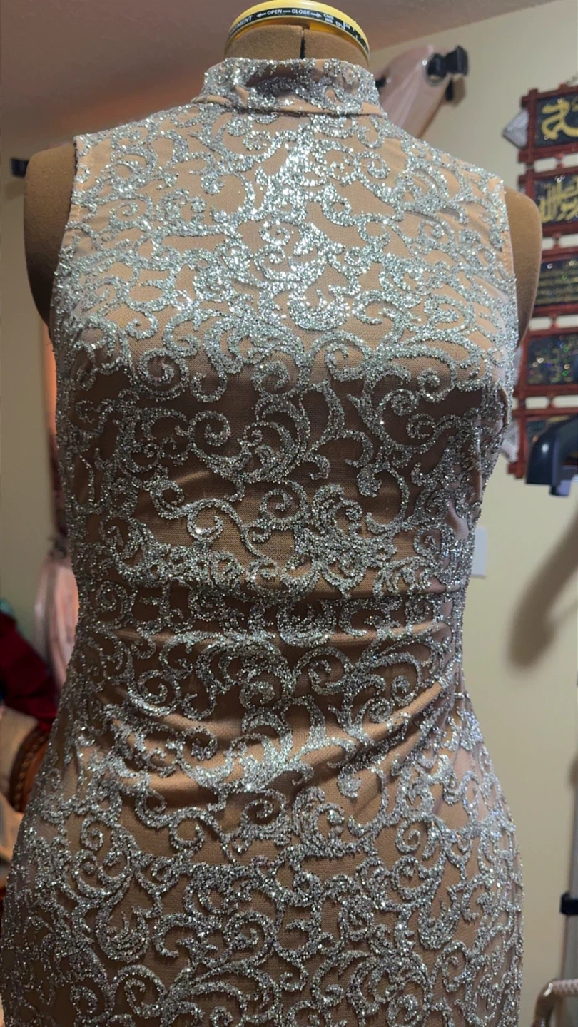 Sparkly Lace Formal Dress - photo 2