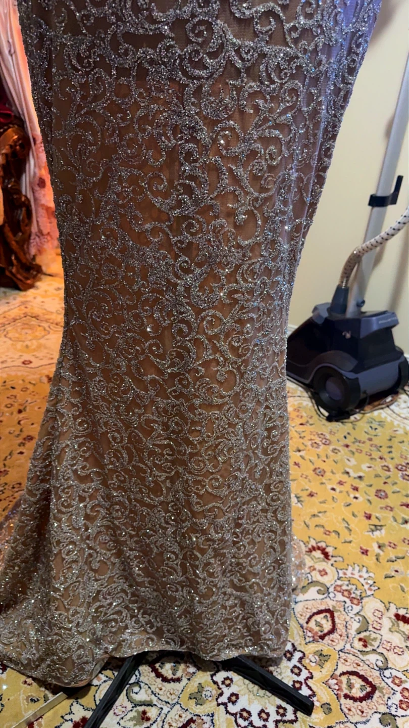 Sparkly Lace Formal Dress - photo 3