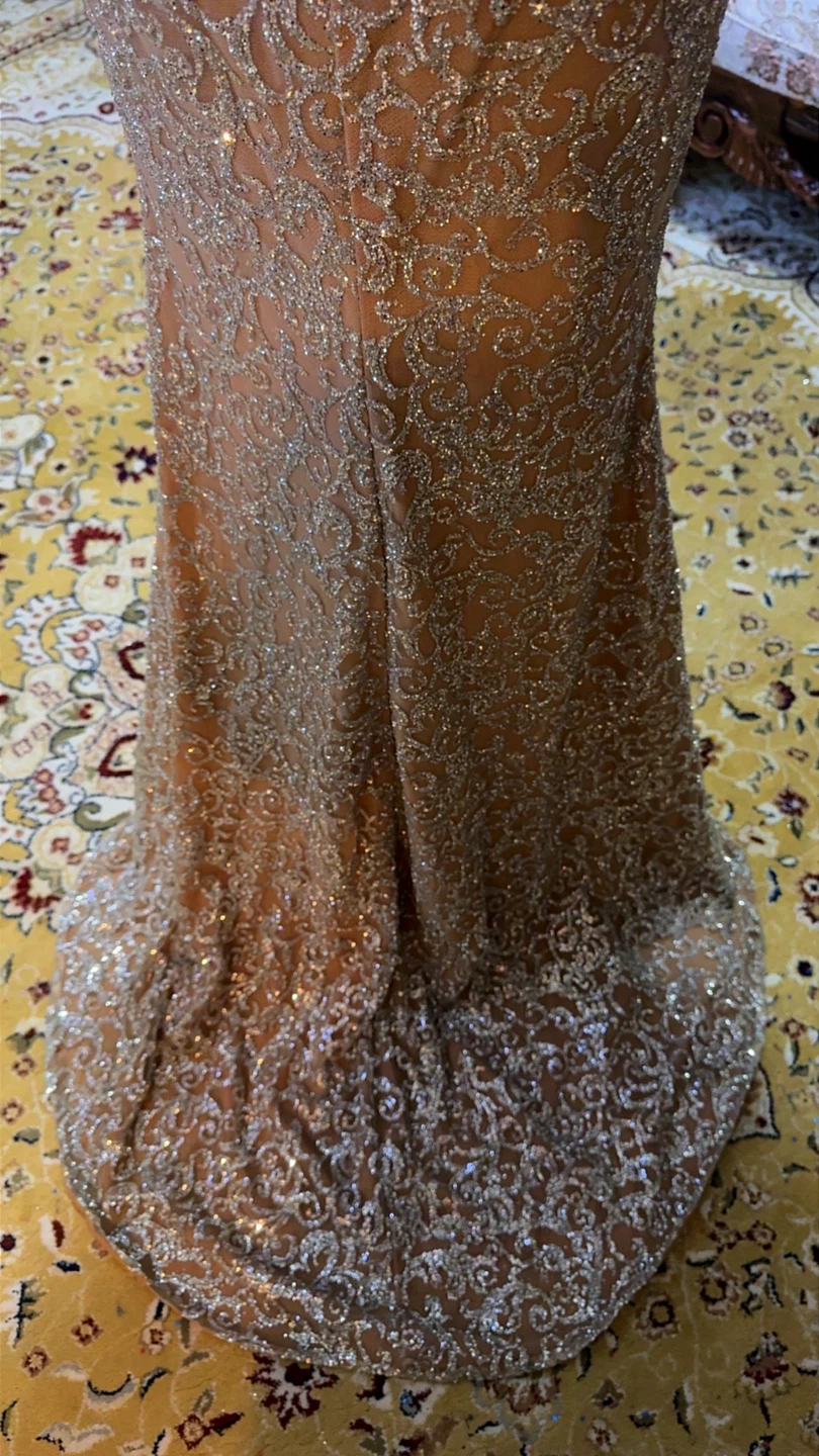 Sparkly Lace Formal Dress - photo 4