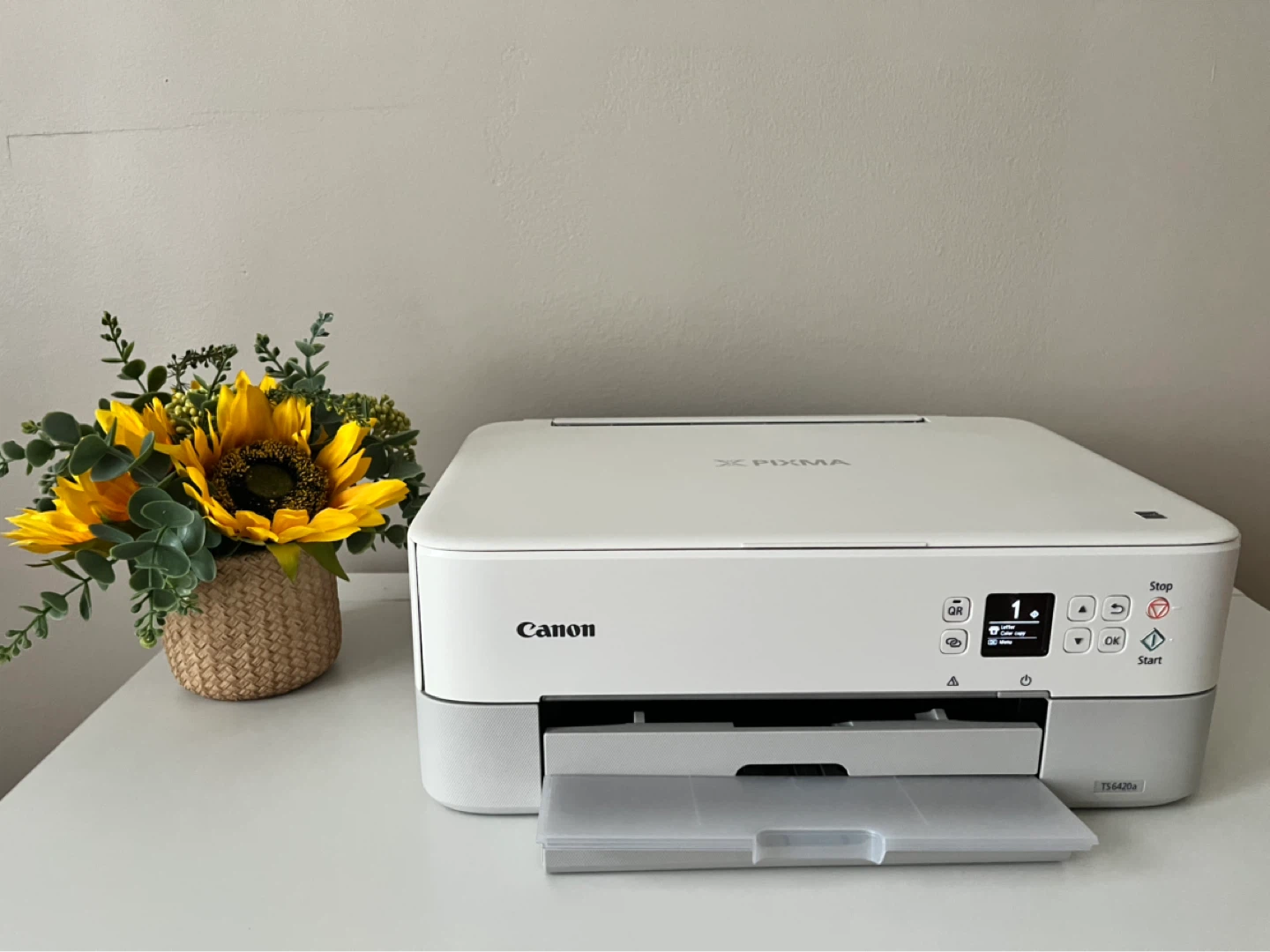 Canon PIXMA TS6420a Wireless All-In-One Inkjet Printer