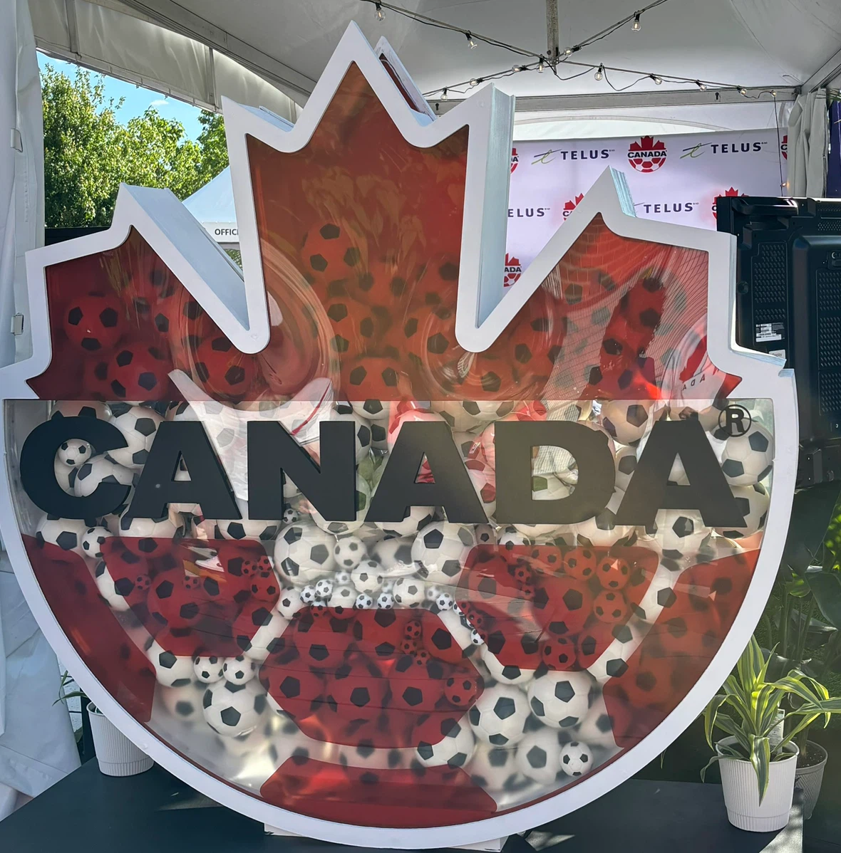 Fifa Watch Party Sun 28 June Canada vs South Africa RO32