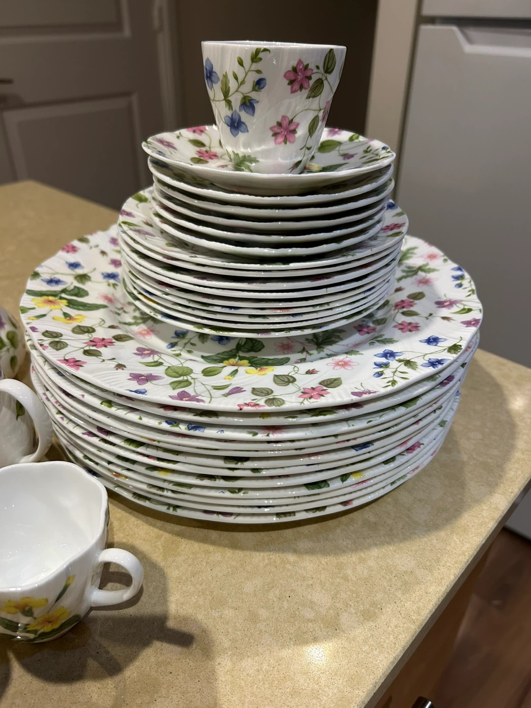 Queen's Fine Bone China Meadow Collection Set