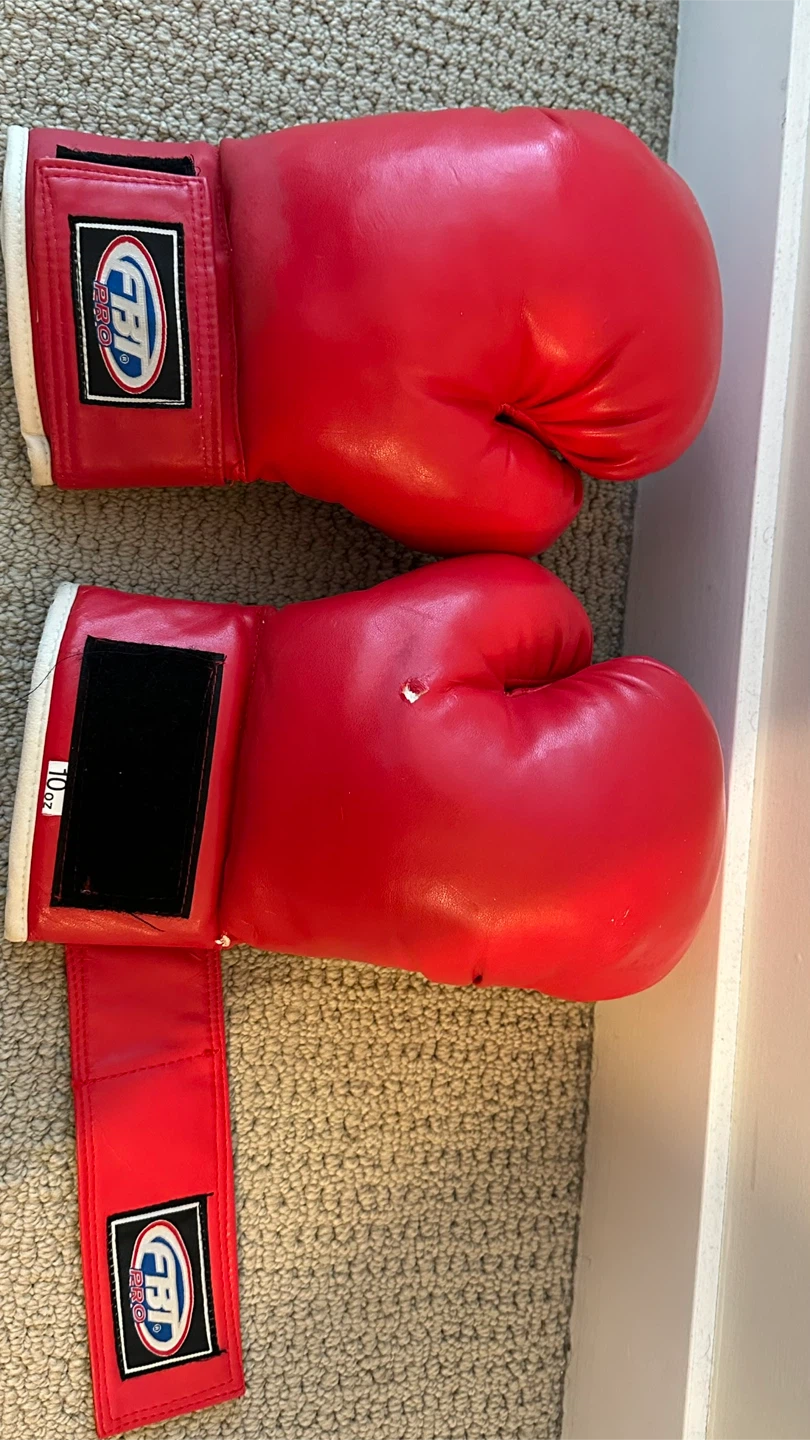 FBT Red Boxing Gloves 10oz