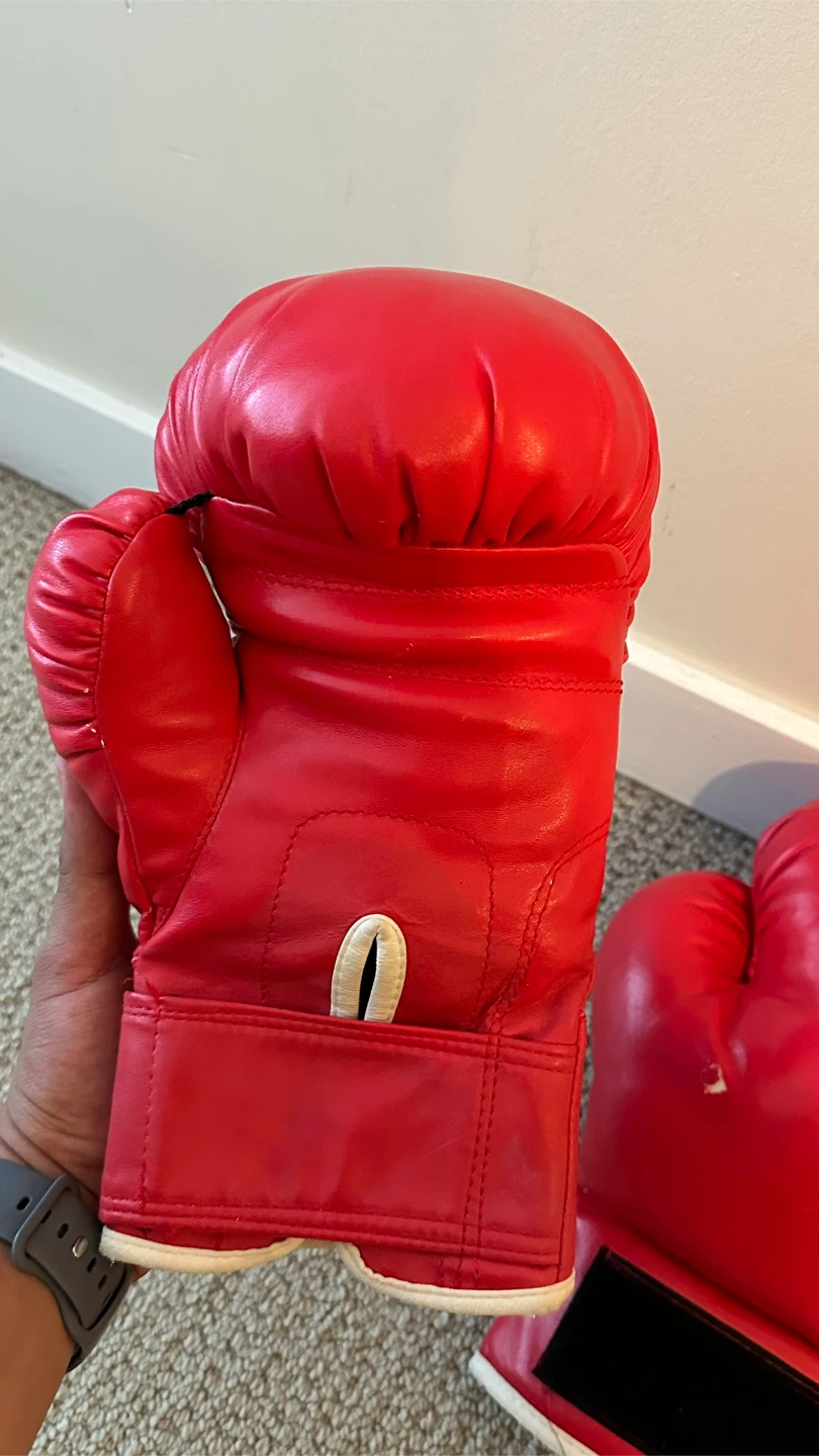 FBT Red Boxing Gloves 10oz - photo 2