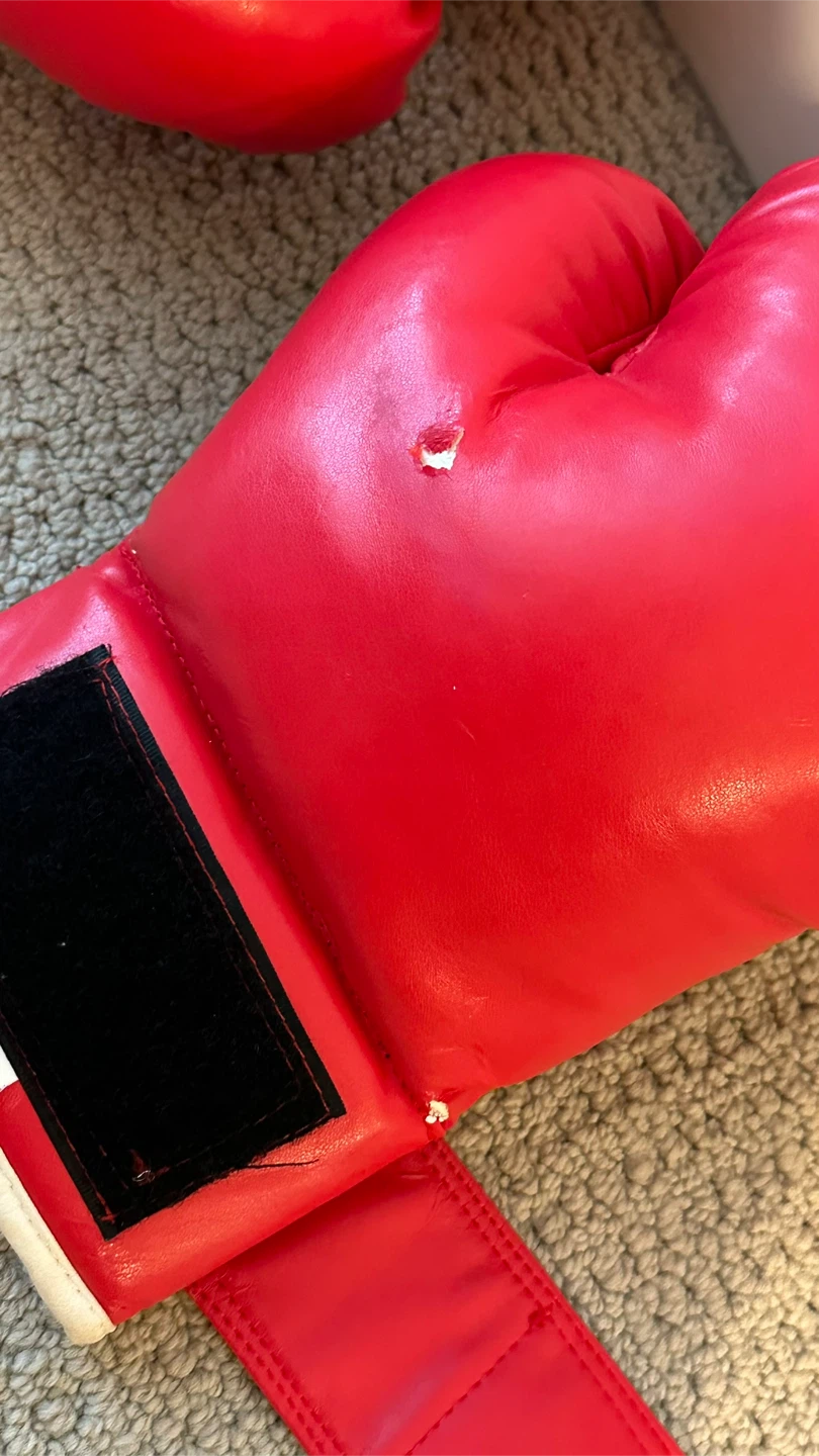 FBT Red Boxing Gloves 10oz - photo 3