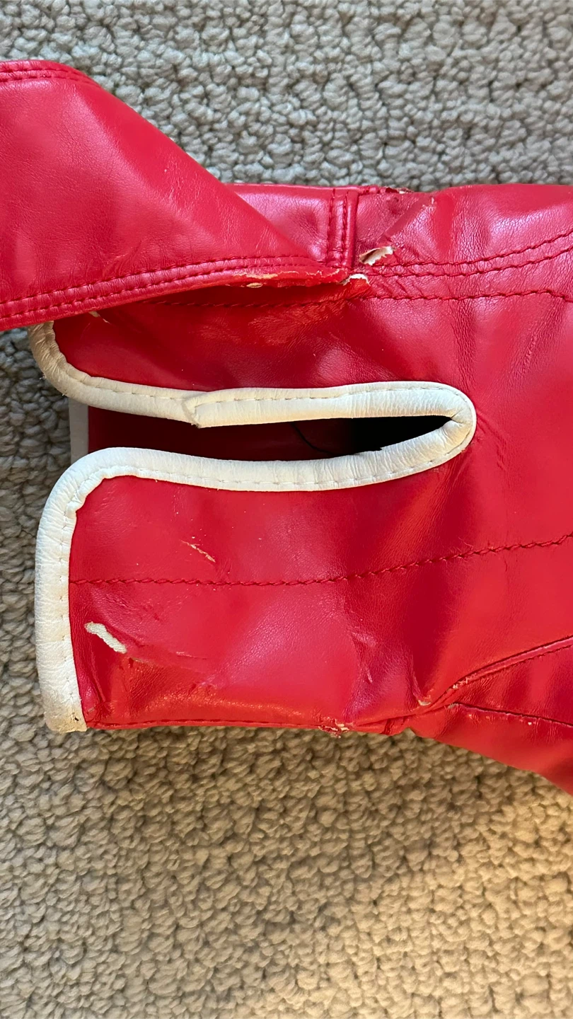 FBT Red Boxing Gloves 10oz - photo 4