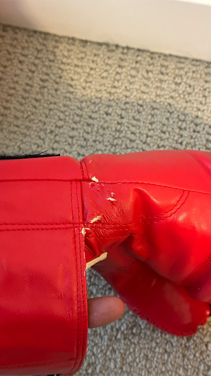 FBT Red Boxing Gloves 10oz - photo 5
