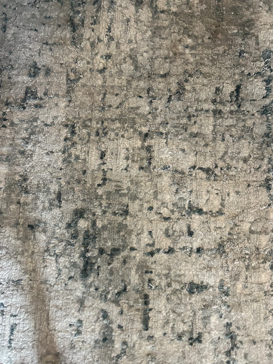 Area Rug