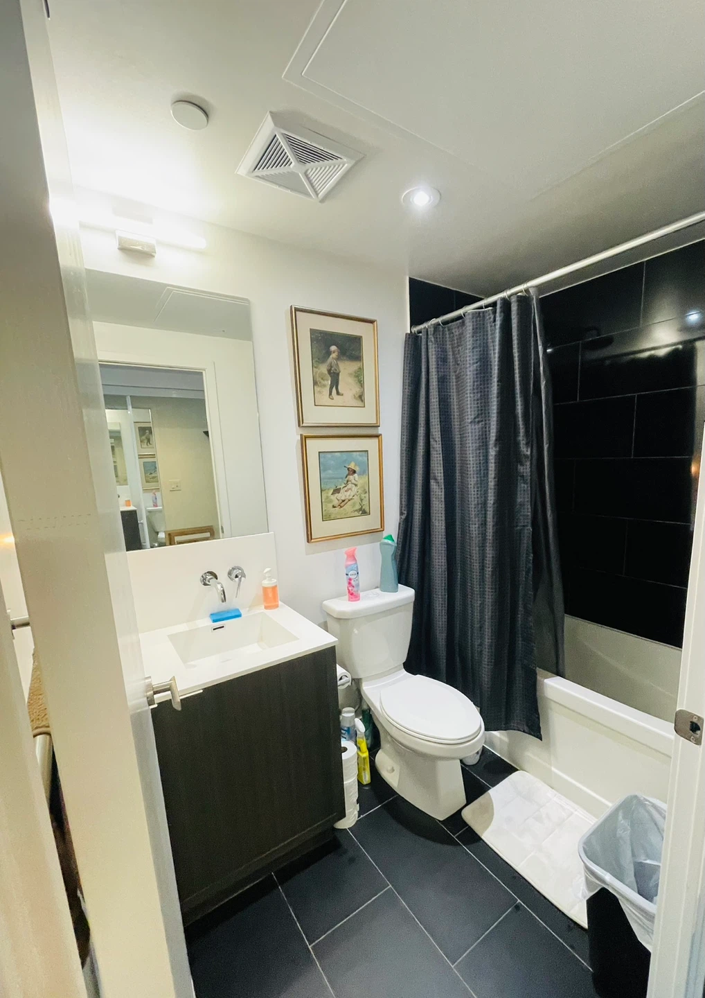 Short term stay available July 3-13, 2026 - photo 3