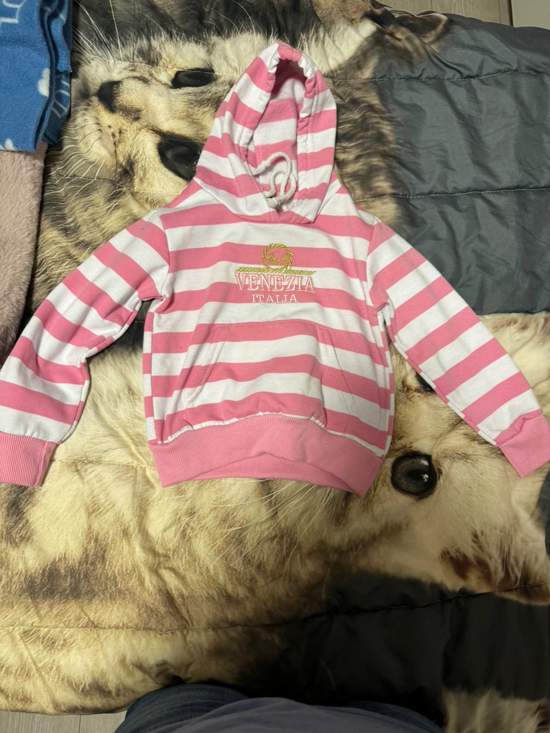 Pink and White Striped Hoodie with Venezia Italia Logo Size 3/4