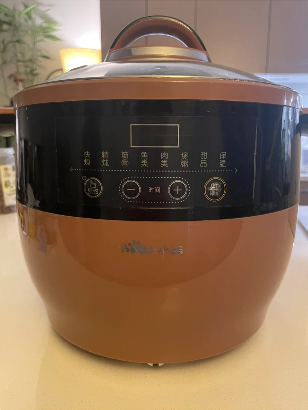 Bear Electric Steam Stew Pot