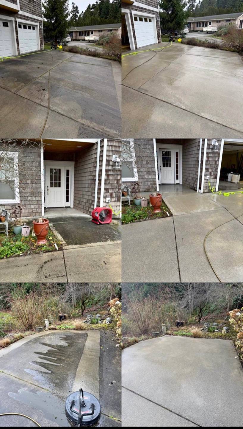 Professional Pressure Washing | Roof & Gutter Cleaning - photo 3