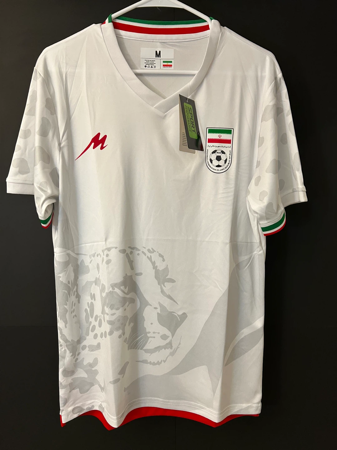 Iran World Cup 2026