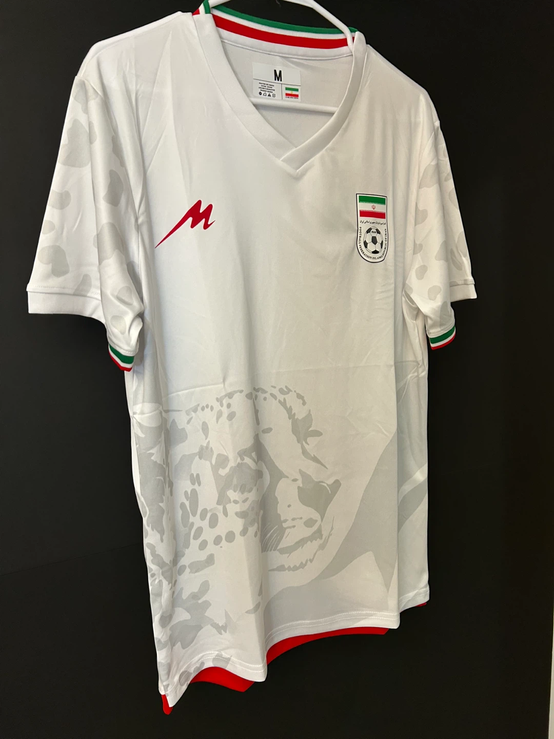 Iran World Cup 2026 - photo 4