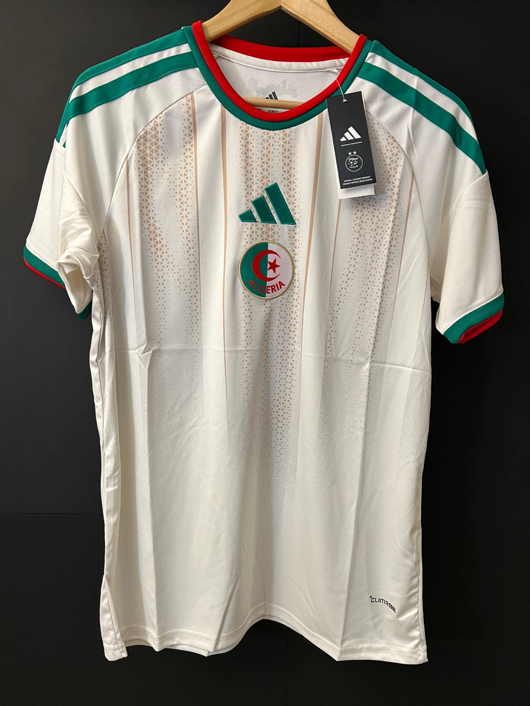 Algeria 2026 world cup