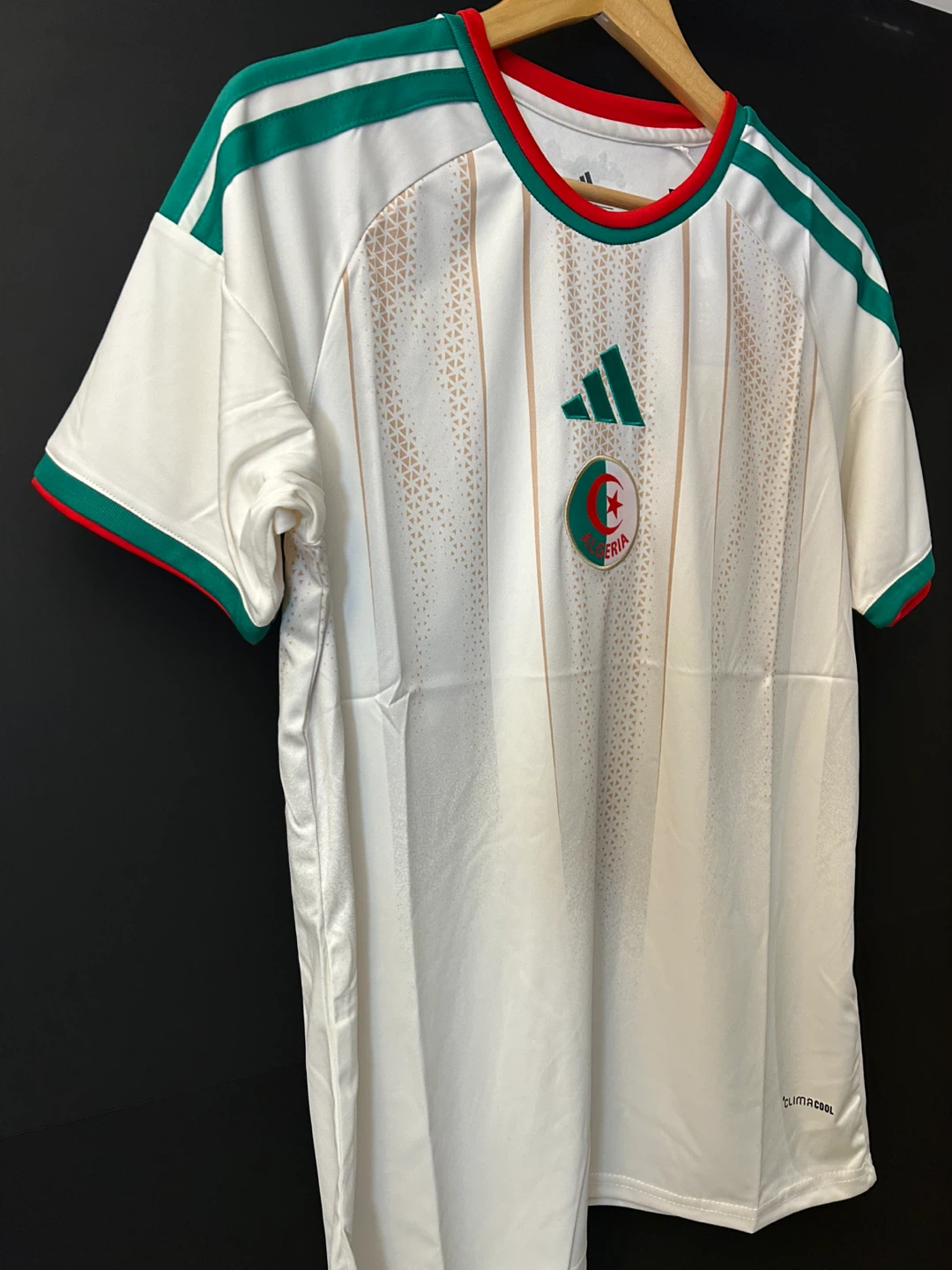 Algeria 2026 world cup - photo 4