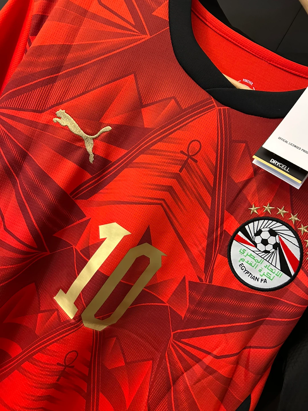 Egypt 2026 World Cup M. Salah #10 Jersey - photo 2