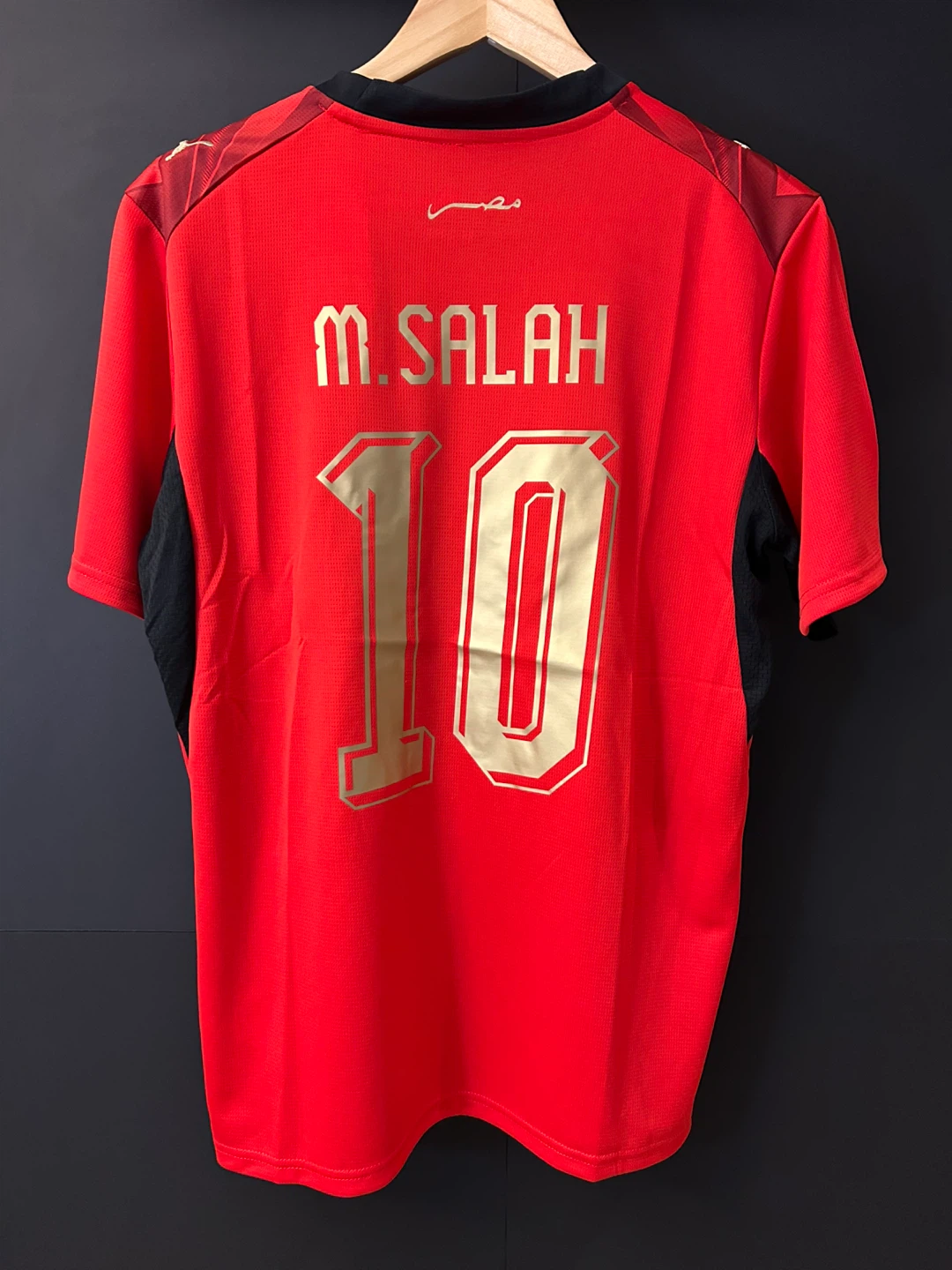 Egypt 2026 World Cup M. Salah #10 Jersey - photo 5