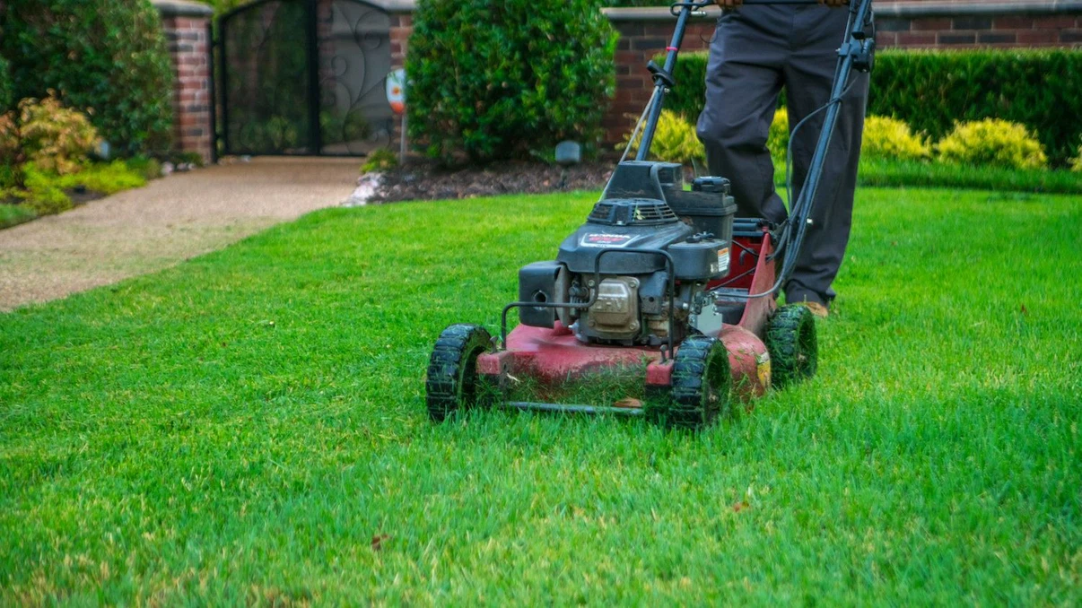 Lawn Care Services
