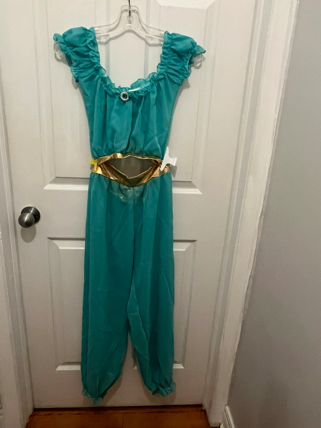 Jasmine Costume -small