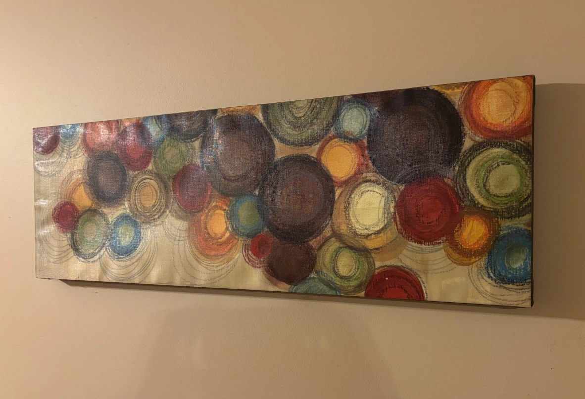 Beautiful Abstract Circle Canvas Wall Art by HomeSense - photo 3