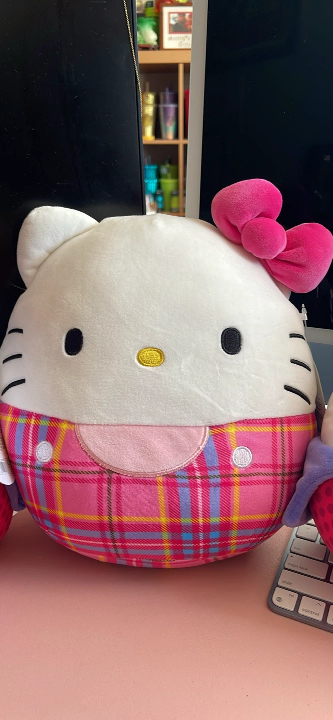 Hello Kitty Plush Toy