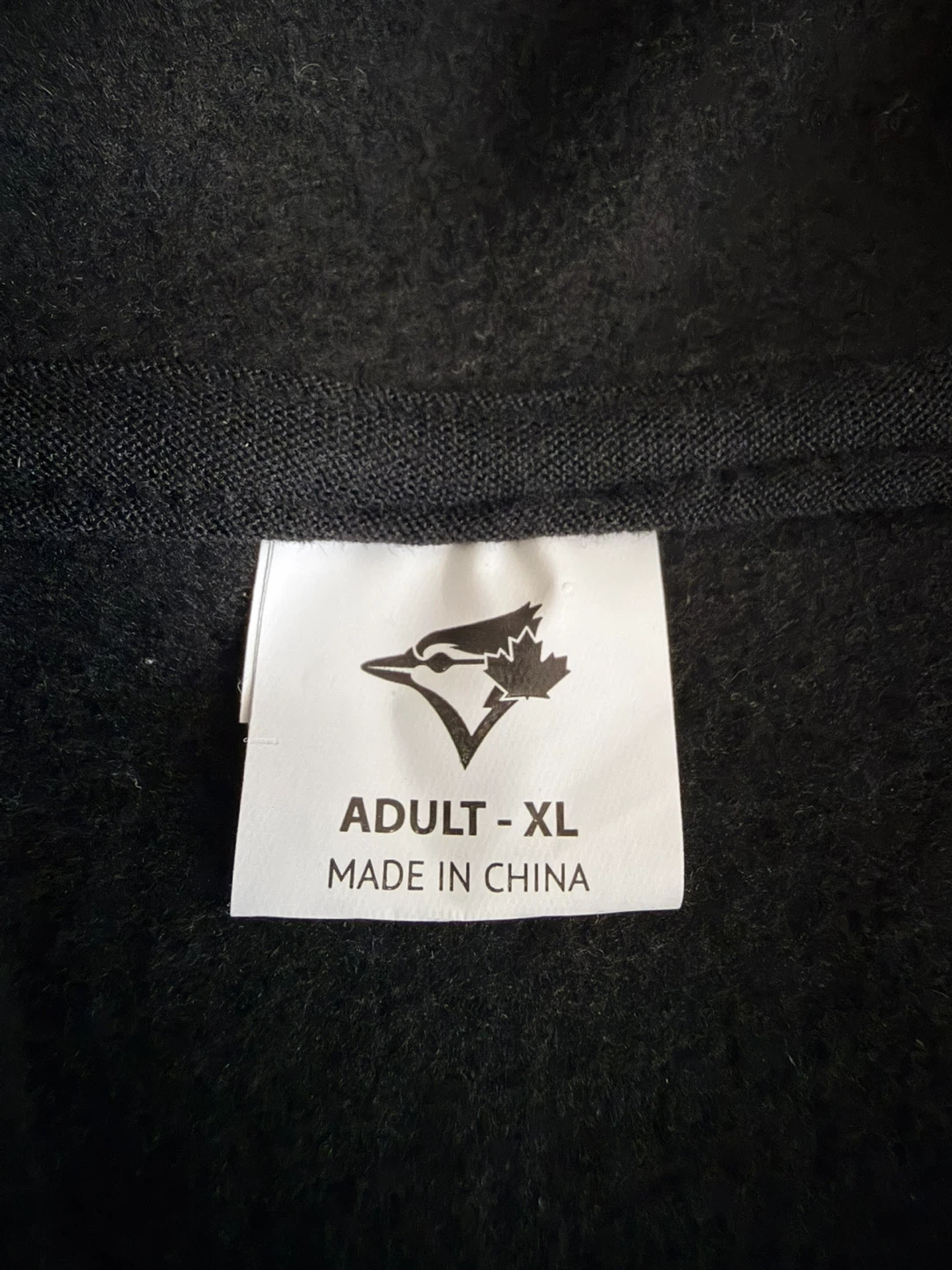 Toronto Blue Jays Retro Hoodie - Y2K Weekend Giveaway - photo 3