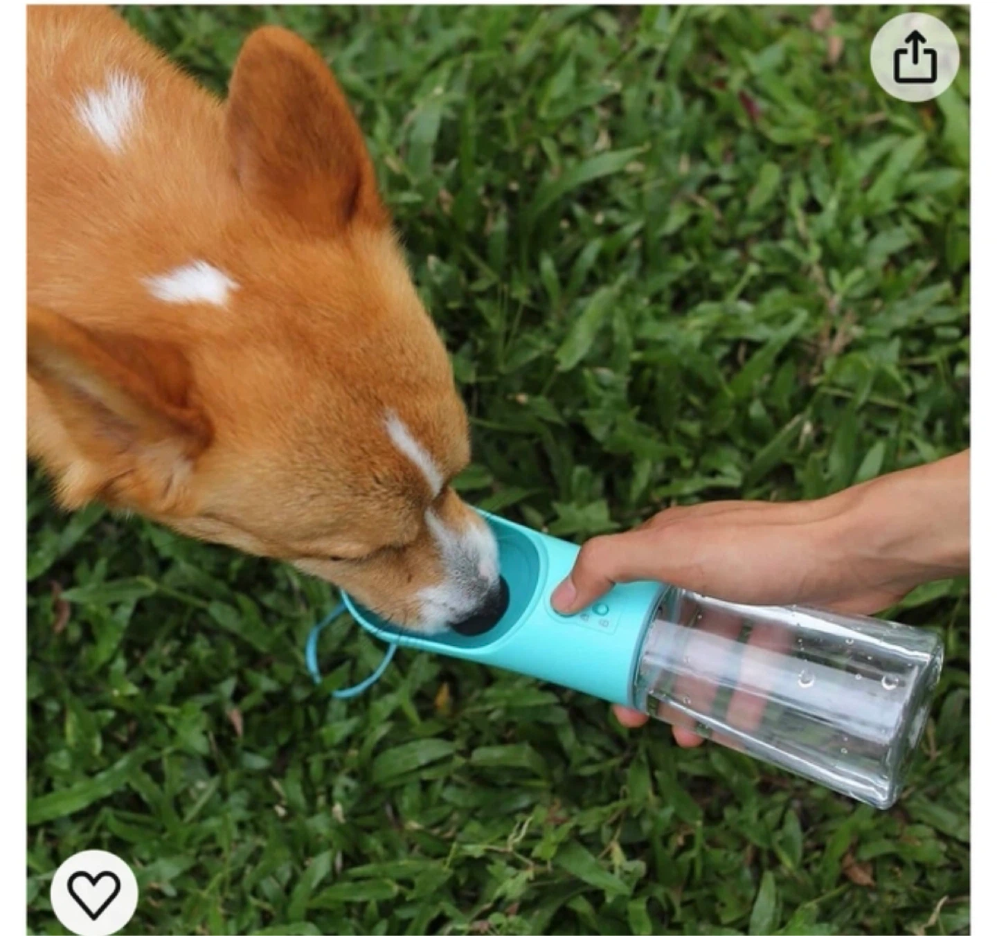 Portable Dog Water Bottle with bags