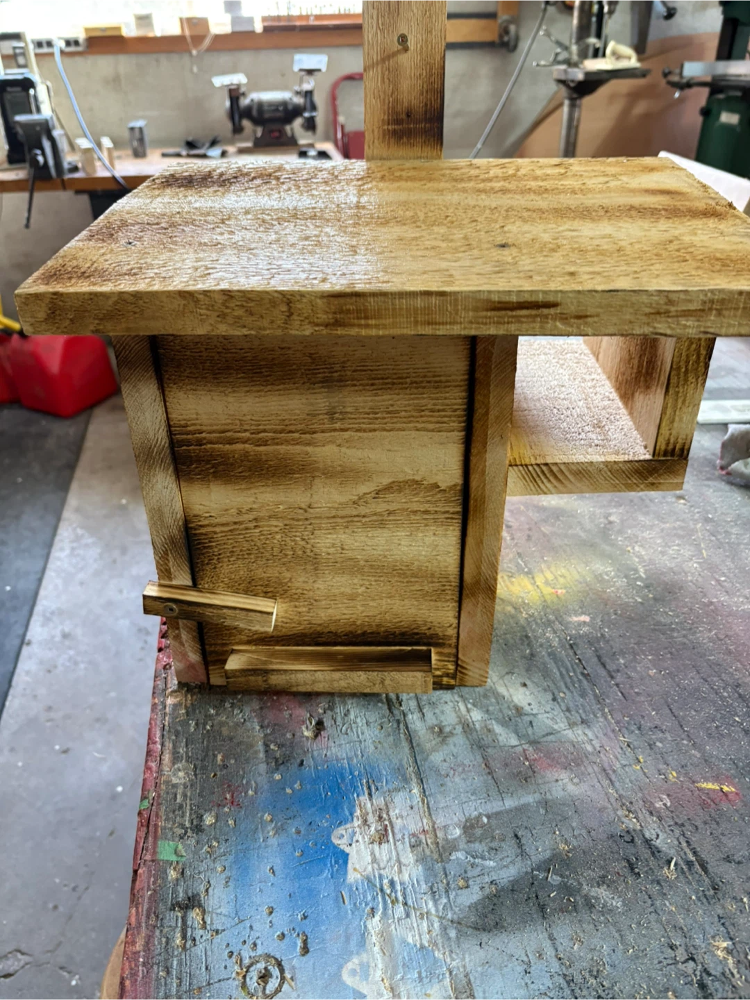 Squirrel house - photo 2