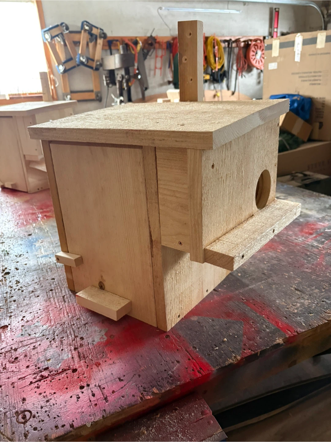 Squirrel house - photo 4