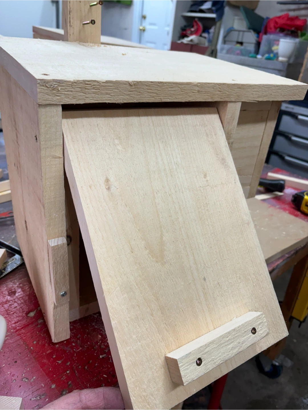 Squirrel house - photo 5