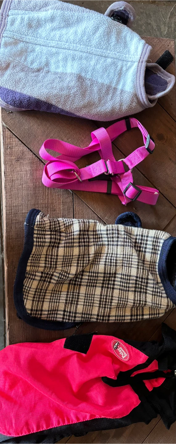 Bundle of 3 Dog Coats and Pink Harness