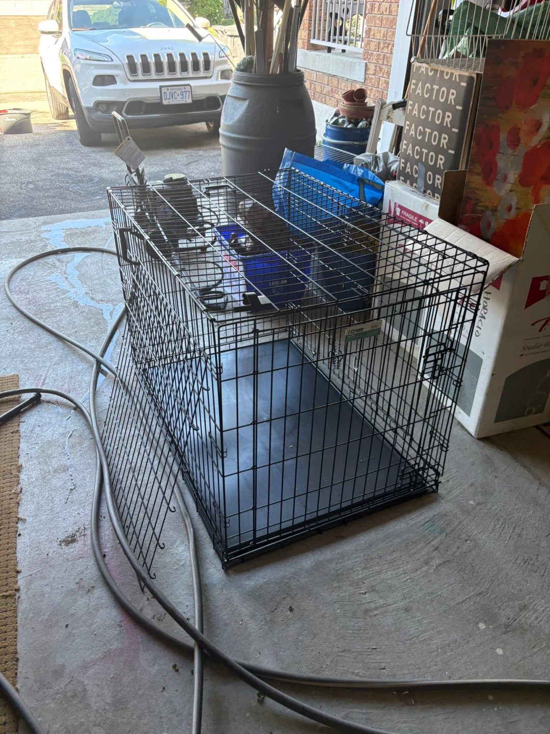 iCrate Dog Crate 1542DD
